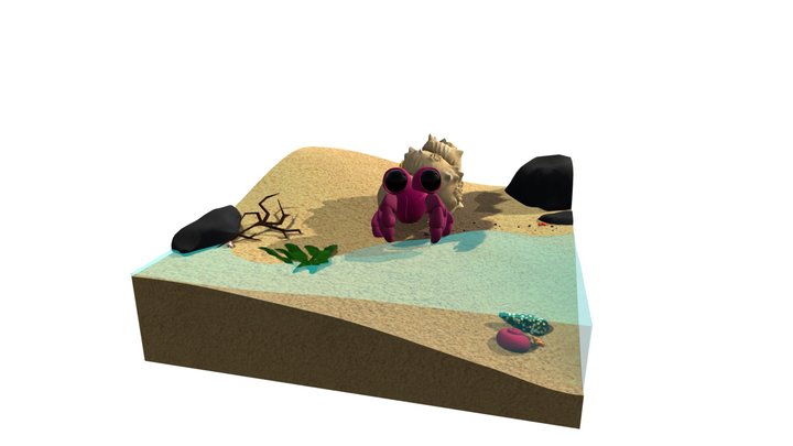 Hermit Crab | Diorama 3D Model