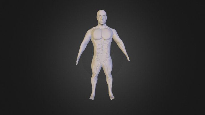 3D Character - Sculpting Muscular Anatomy 3D Model