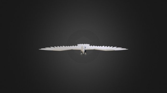 Eagle High Polygon 3D Model