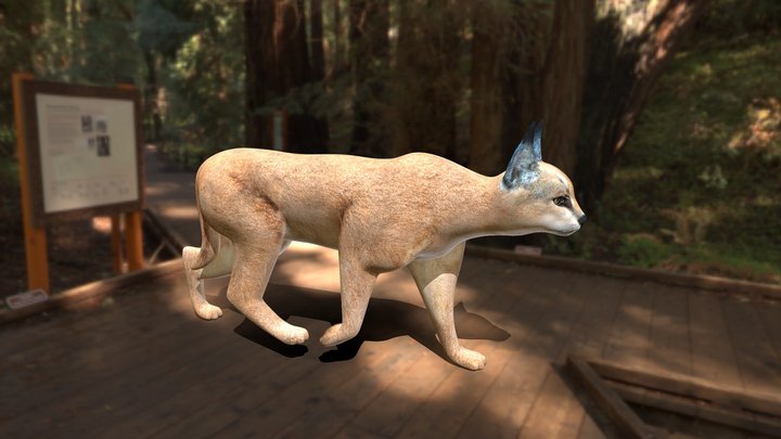 Forest Cat 3D Model (FREE) 3D Model