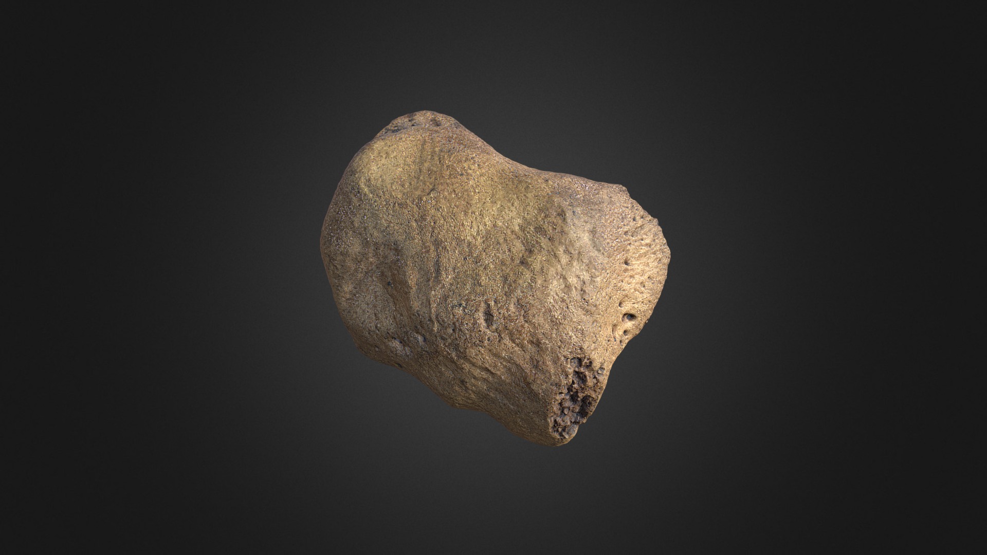 3D model Woolly Rhino Kneecap - This is a 3D model of the Woolly Rhino Kneecap. The 3D model is about a close up of a rock.