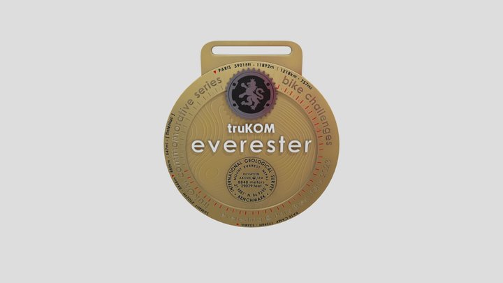 MEDAL 1 3D Model