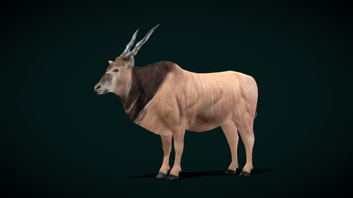 Greater Eland Antelope (Lowpoly) 3D Model