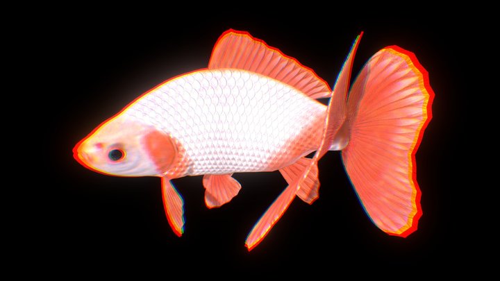 Jikin-goldfish by somitsu 3D Model