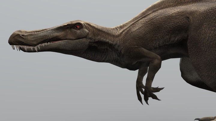 JWTG Base Suchomimus – Modello 3D gratuito STL