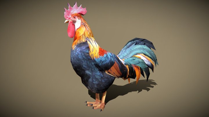 3DRT - domestic animals - rooster 3D Model