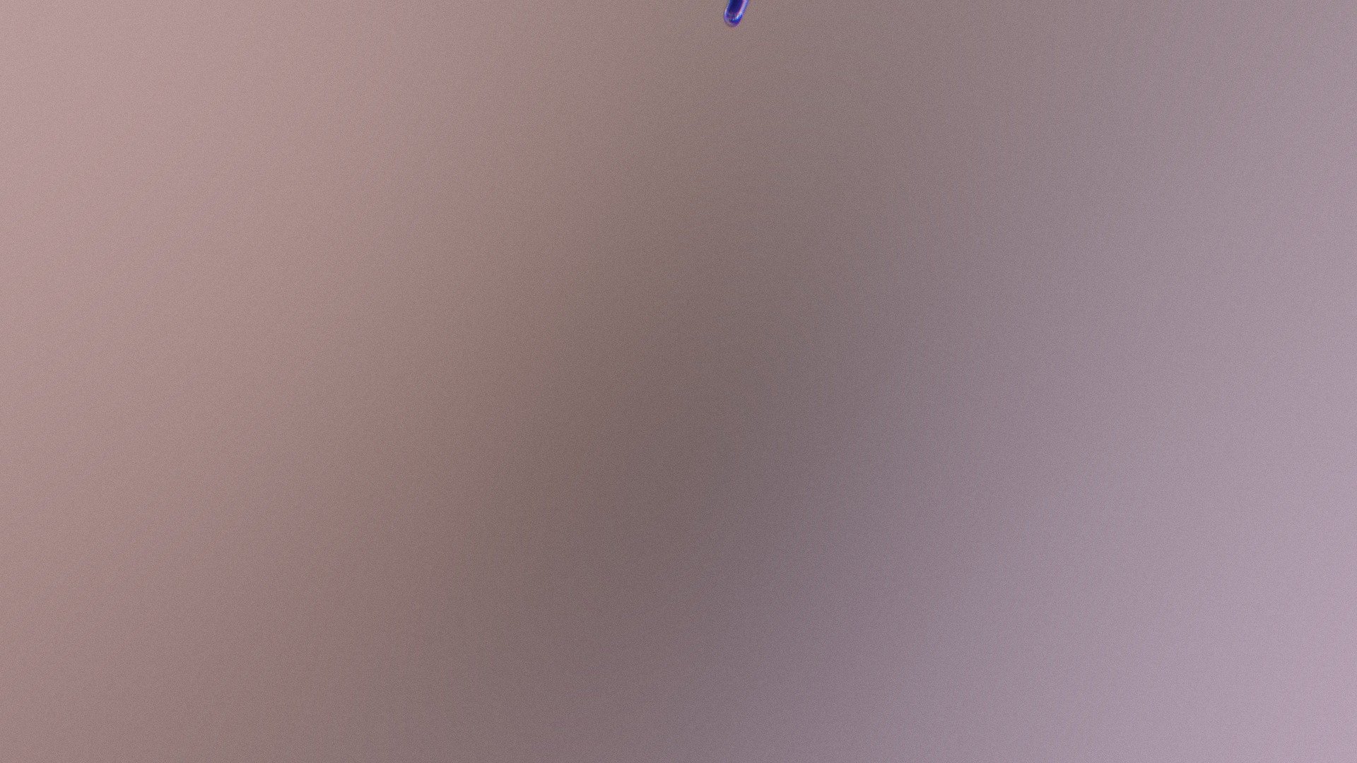capsula v1.0 Airyn
