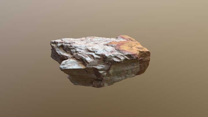 Rock Scan 3D Model