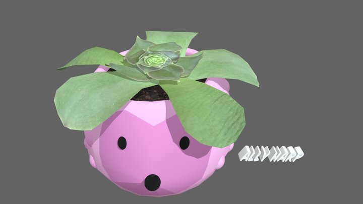 Hedgehog Plant 3D Model