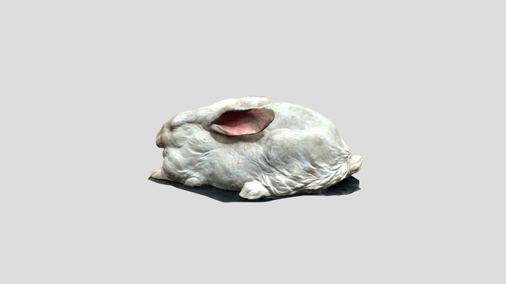 うさぎ 3D Model