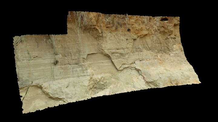 Sedimentary outcrop, Lutterzand, the Netherlands 3D Model