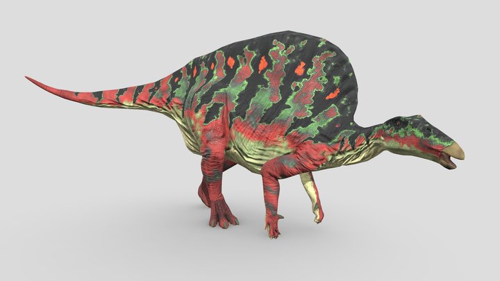 Ouranosaurus 3D Model