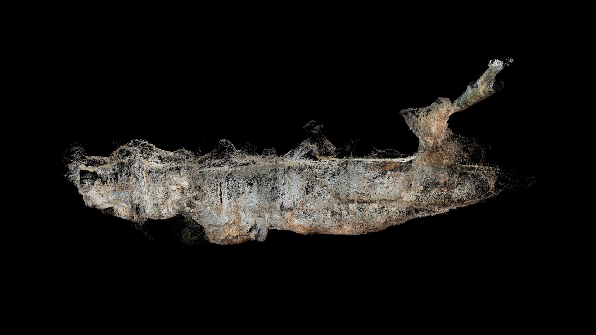 guineacor - point cloud - simplified - 3D model by msanta [3435fbe ...