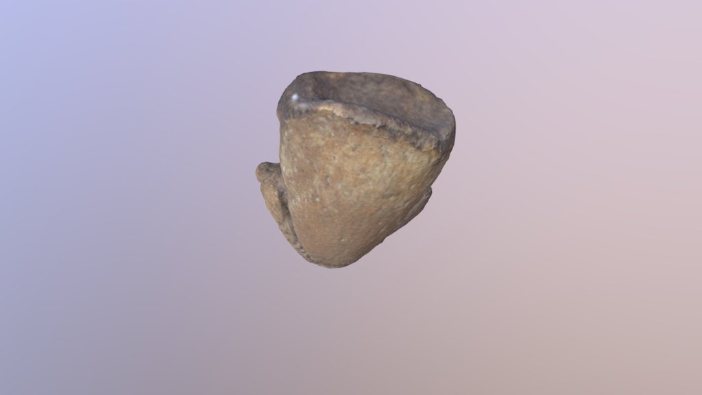 Thescelosaur ungual
