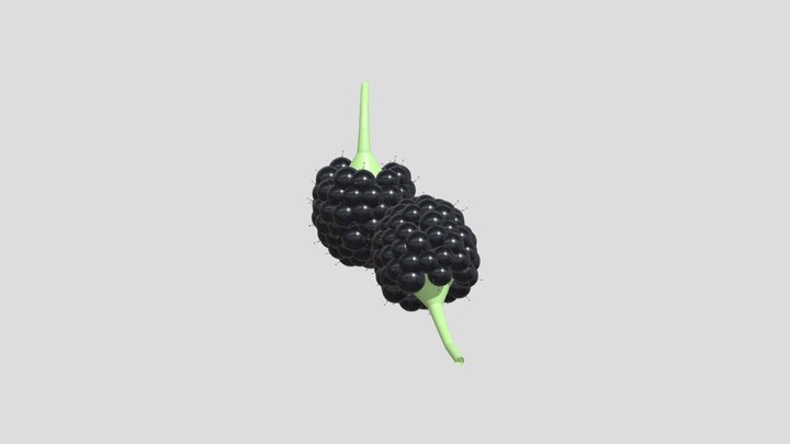 (Free) Realistic Blackberries 3D Model