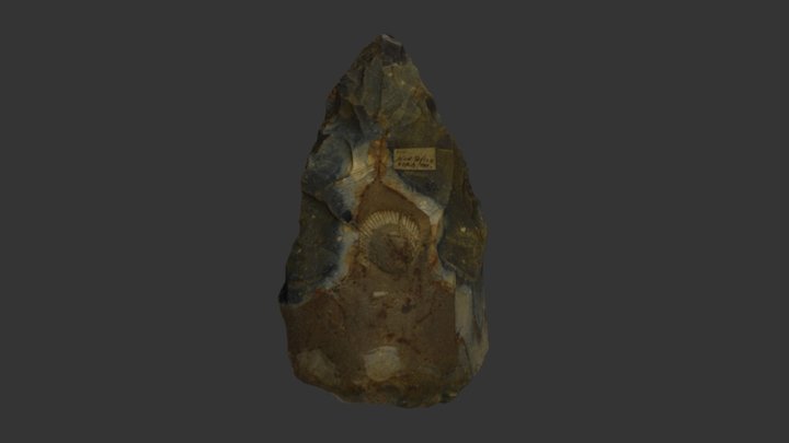 Handaxe with fossil, West Tofts, England 3D Model