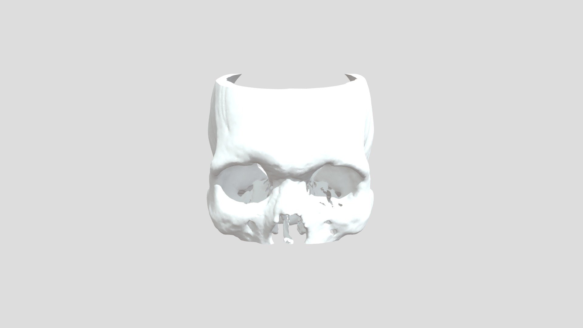 Skull - 3D model by jamiewilkinson [343ba6d] - Sketchfab