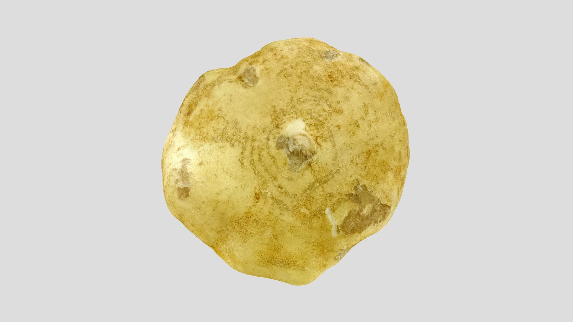 Jicama 沙葛