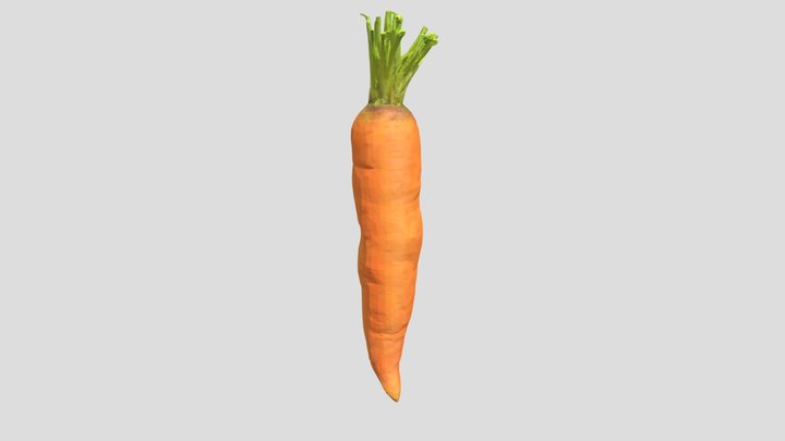 Realistic Carrot 3D Model 3D Model