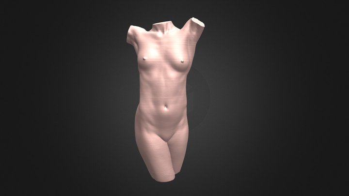 3D Print Female Body - Artec Micro II 3D Model