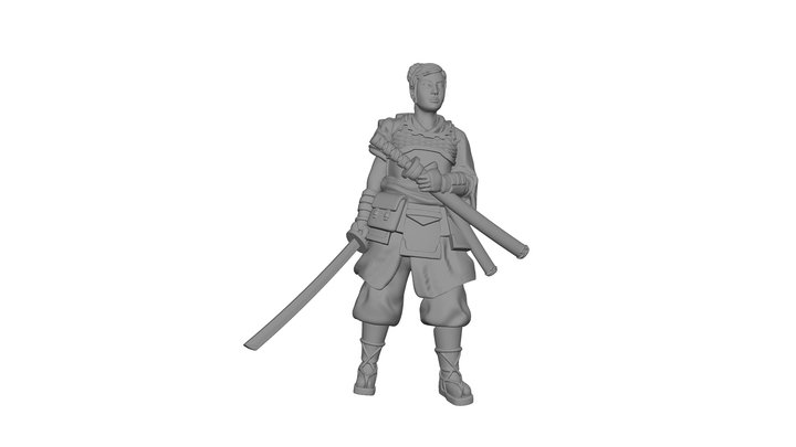 The Ronin 3D Model