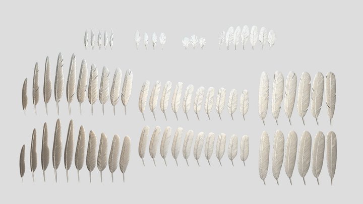 Feather Collection UPDATED* 3D Model