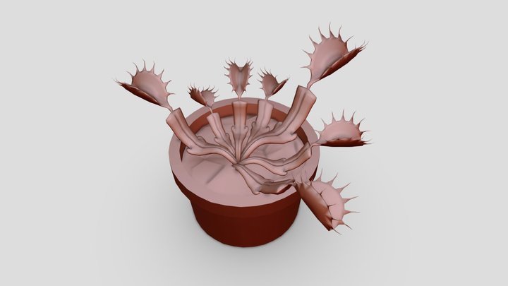 Venus Fly Trap 3D Model