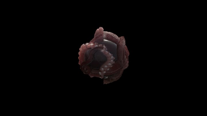 Proceduralne_Tentakle_WIP 3D Model