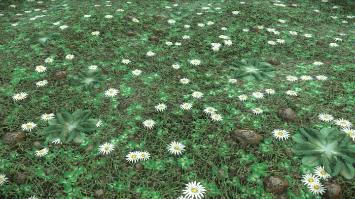 Grass and weeds 3D Model