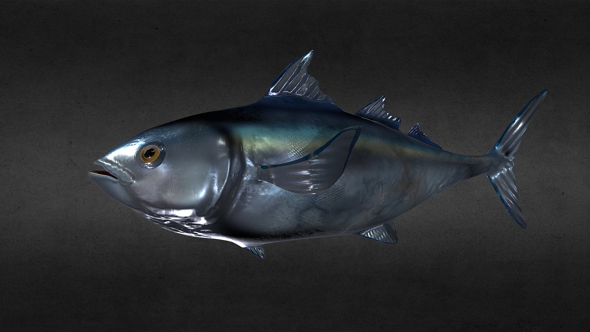 3D model Bluefin Tuna - This is a 3D model of the Bluefin Tuna. The 3D model is about a fish in the water.