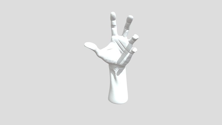 Hand 3D Model