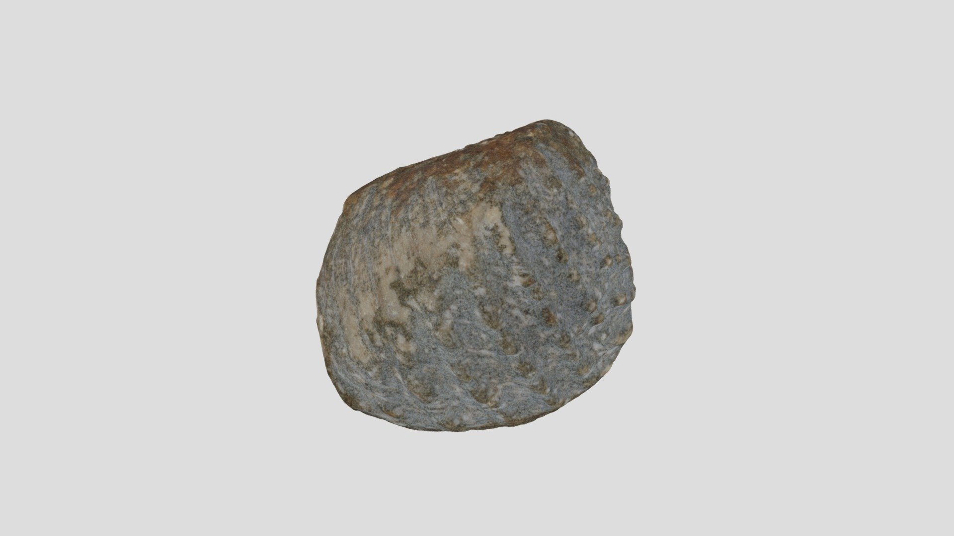 LACMIP 26306.9 Yaadia leana