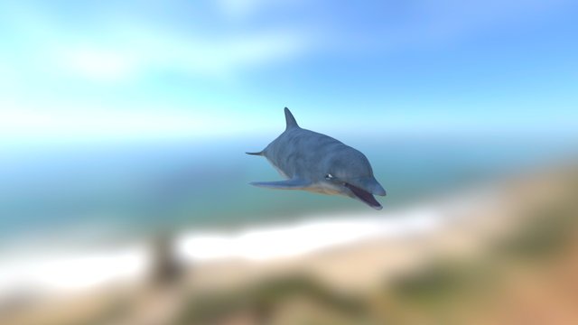 Delfin 3D Model