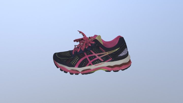 Sneaker Rough Cleanup 3D Model