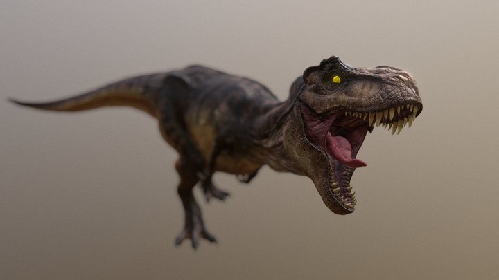 Tyrannosaurus Rex - 4K RES 3D Model