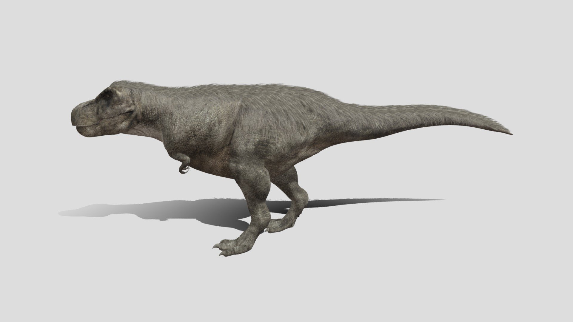 ティラノサウルス生体 Tyrannosaurus -Life Form- - 3D model by