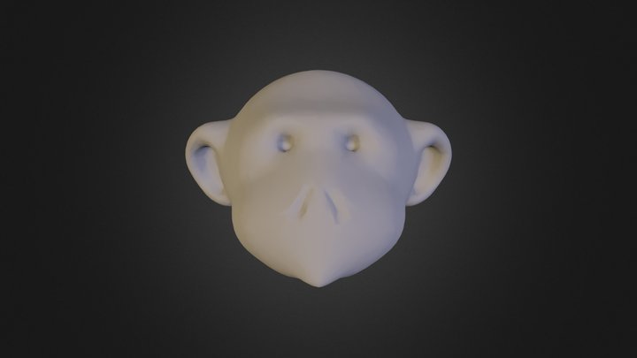 pet_head_monkey3 3D Model