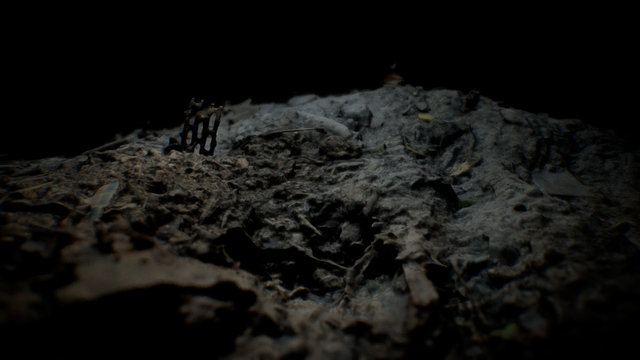 Scorched Earth 3D Model