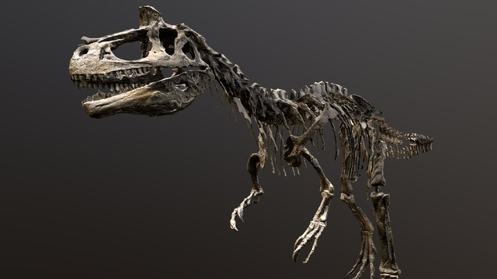 Cryolophosaurus