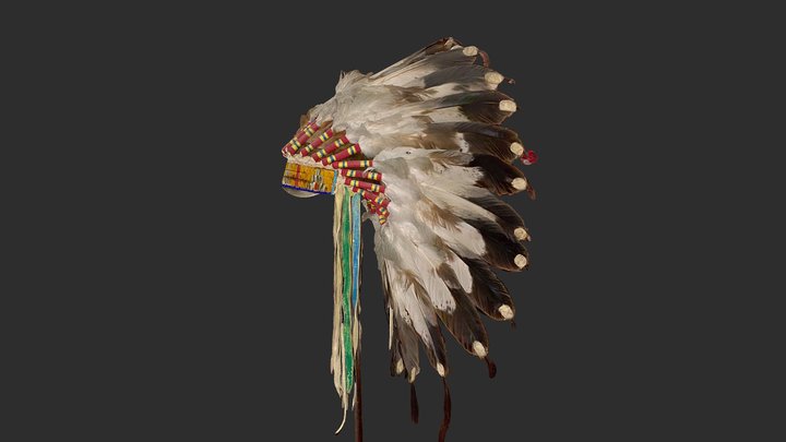 Native Eagle Feather Warbonnet 3D Model