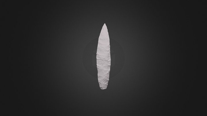Flint arrowhead 3D Model