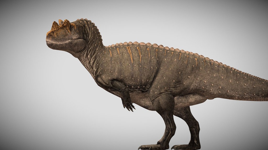 Ceratosaurus nasicornis