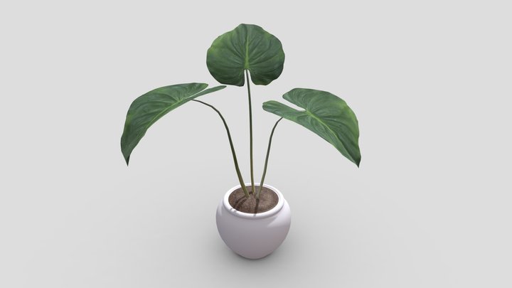 House palm plant – Gratis 3D-model STL