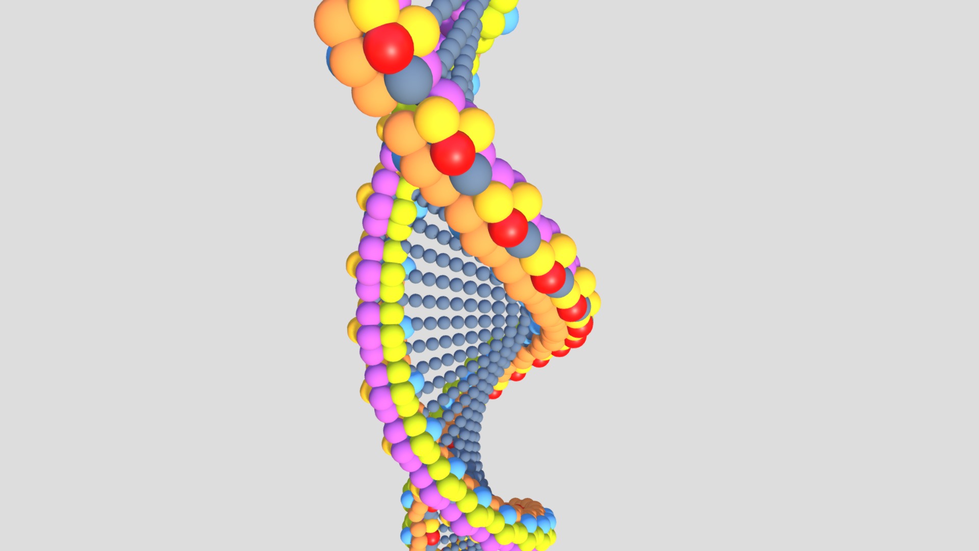 3D model DNA 01 - This is a 3D model of the DNA 01. The 3D model is about a colorful balloon made of balloons.
