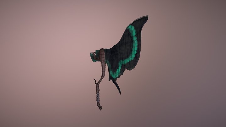 Butterfly Wing 3D Model