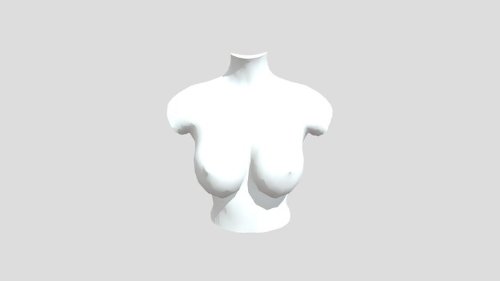 Digital Bodies 3D Model