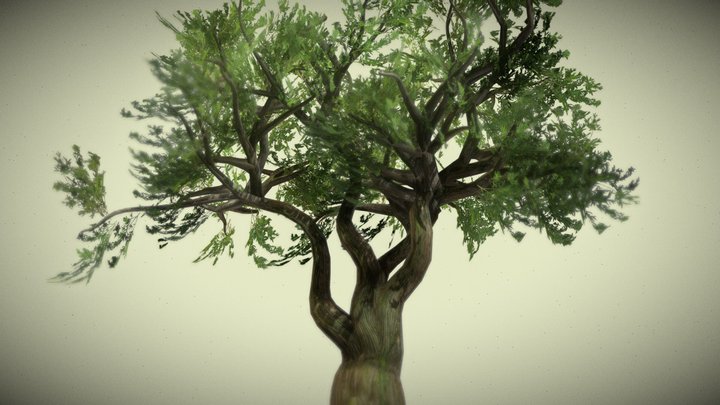 Tree4 3D Model