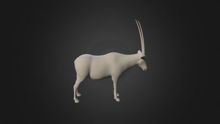 Oryx Whole Flat Cut Smooth 3D Model