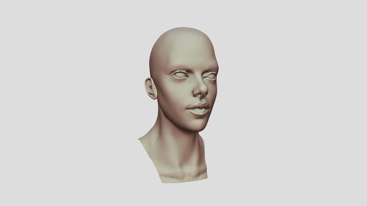 Head speed Sculpt 3D Model