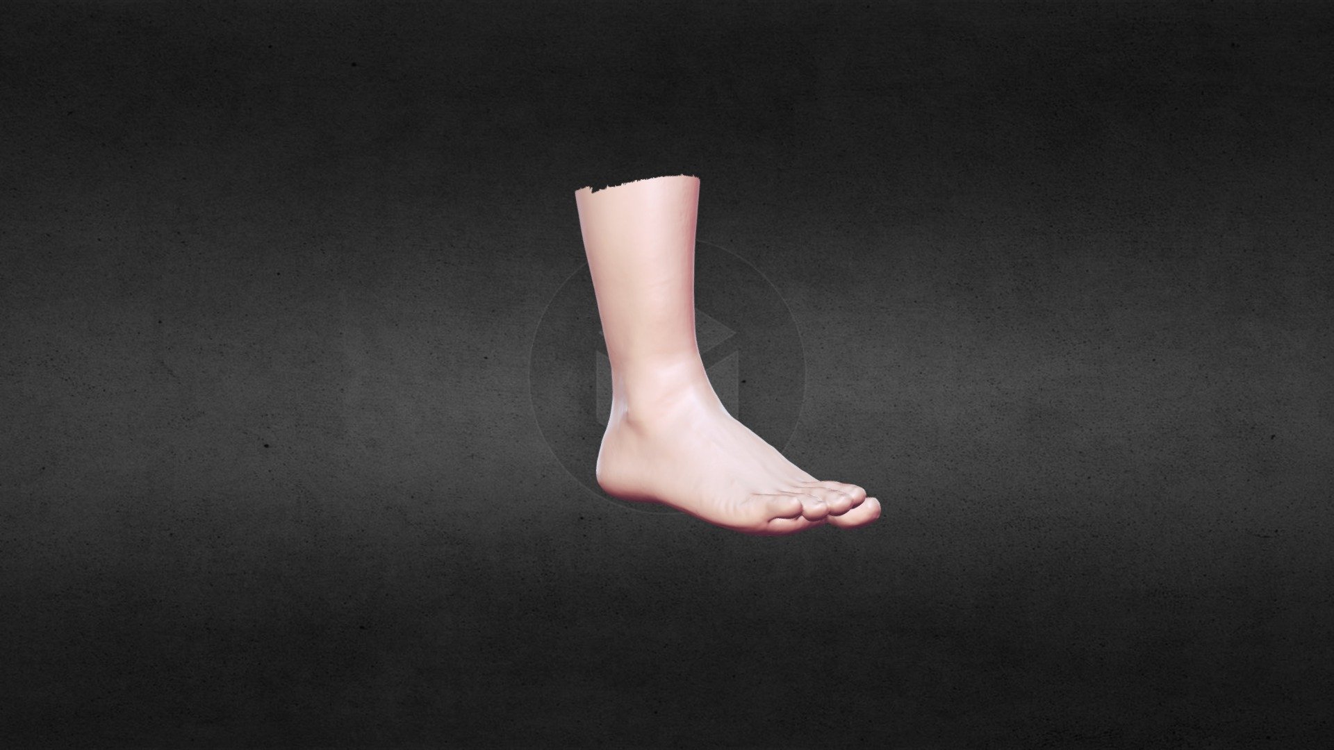 Color Scanning of Foot
